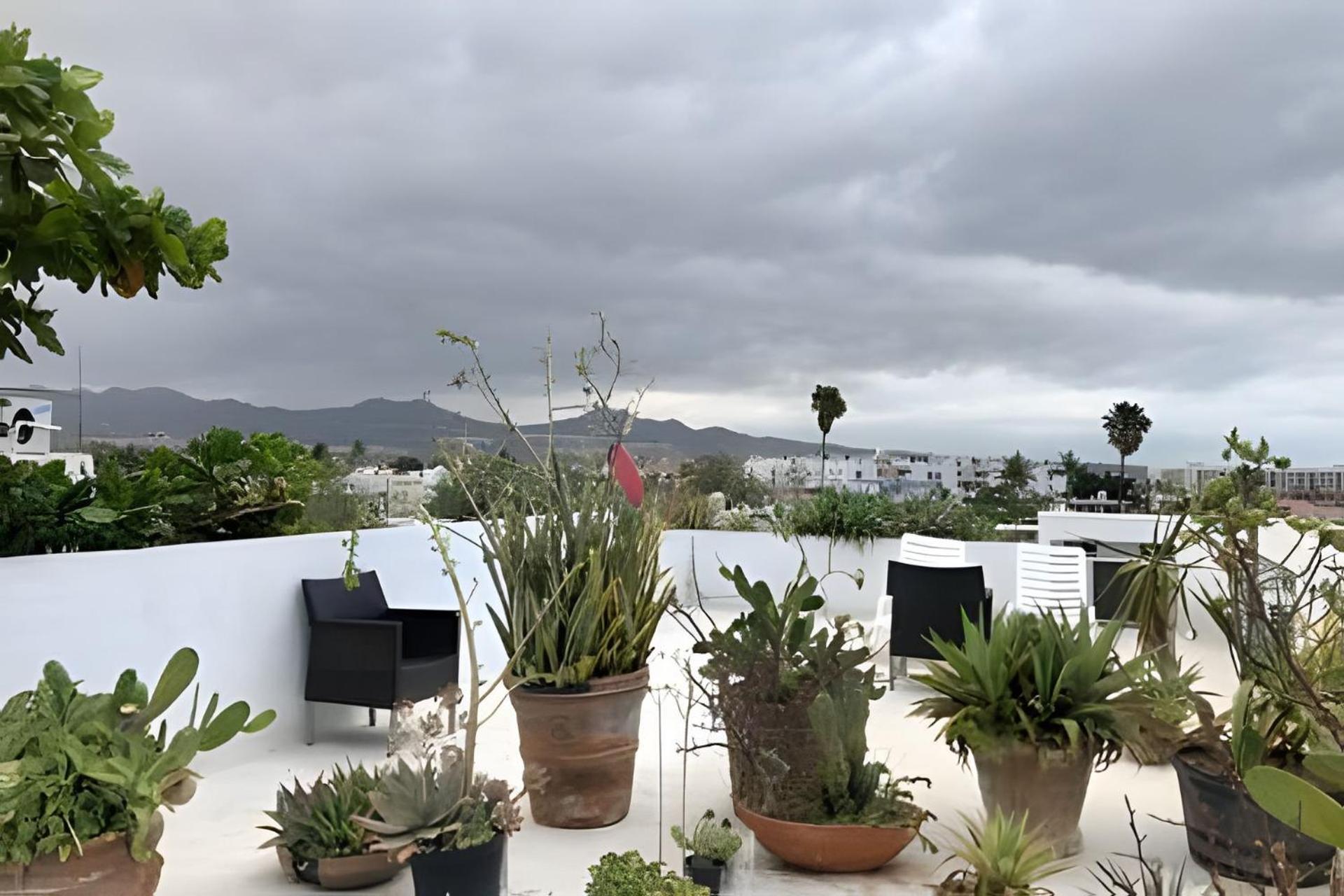 12 De Octubre Apartment Кабо Сан Лукас Екстериор снимка